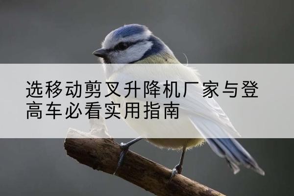 新河电动升降机厂家-选移动剪叉升降机厂家与登高车必看实用指南