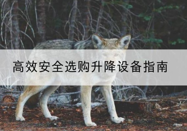 新河升降货梯厂家推荐-*安全选购升降设备指南